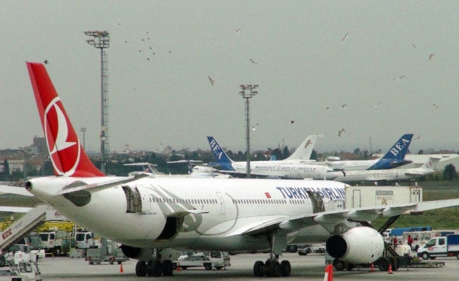 Atatürk Havalimanı’nda uçağa martılardan yoğun ilgi