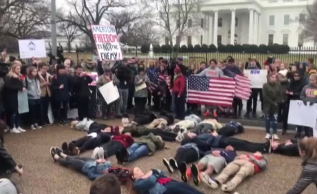 Beyaz Saray önünde "silah yasası" protestosu