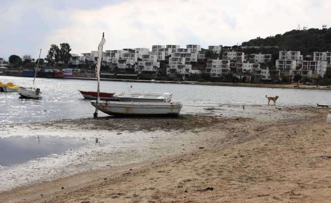 Deniz çekildi, balıkçı tekneleri karaya oturdu