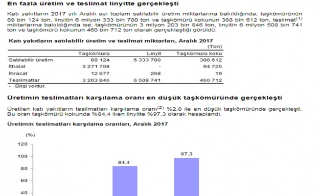 ’Katı yakıt’ istatistikleri açıklandı