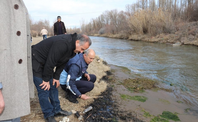 Oltu Çayı’na atılan zehirle ilgili soruşturma başlatıldı