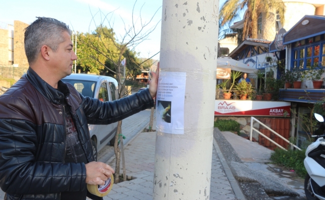 Sokak sokak dolaşıp Şeker’i arıyor