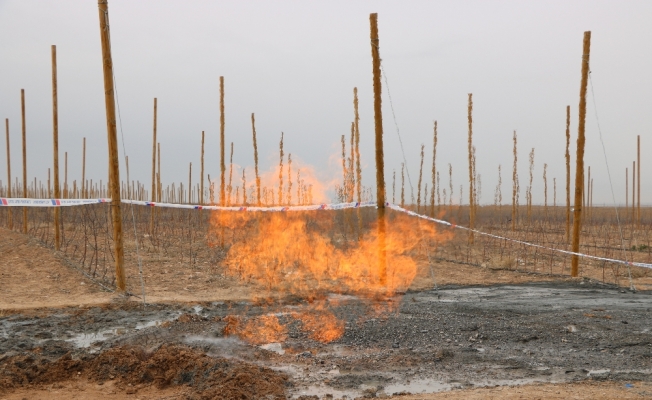 Su aramak için kazdılar doğalgaz çıktı