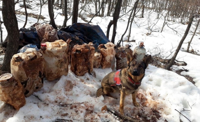 Tunceli’de 4 sığınak imha edildi, 150 kiloluk patlayıcı ele geçirildi