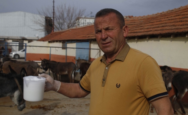 Turizm sektörünü bıraktı eşek sütü üretimine başladı