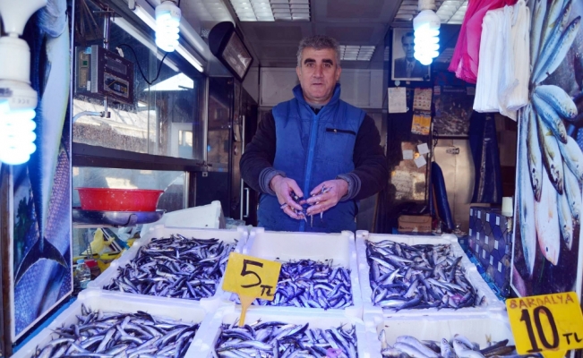 Hamsi fiyatı hızla düşüşe geçti