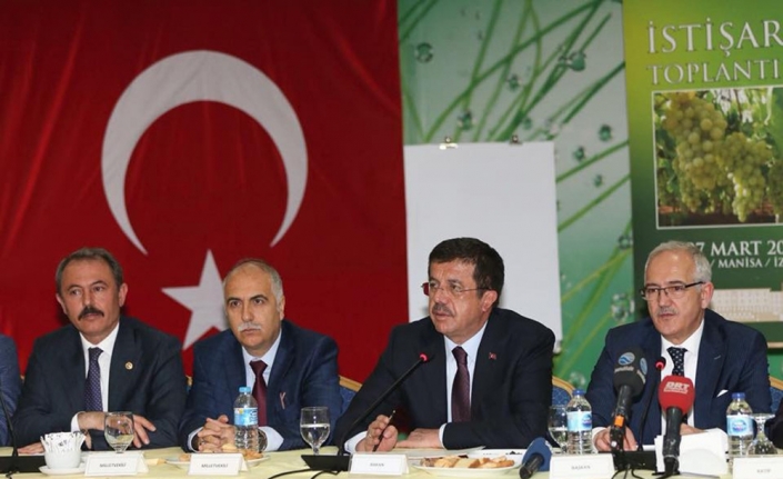"Kuru üzüm ticaretinin yüzde 25’ini Türkiye yapıyor"