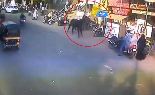 Öfkeli boğa insanlara saldırdı: 2 yaralı