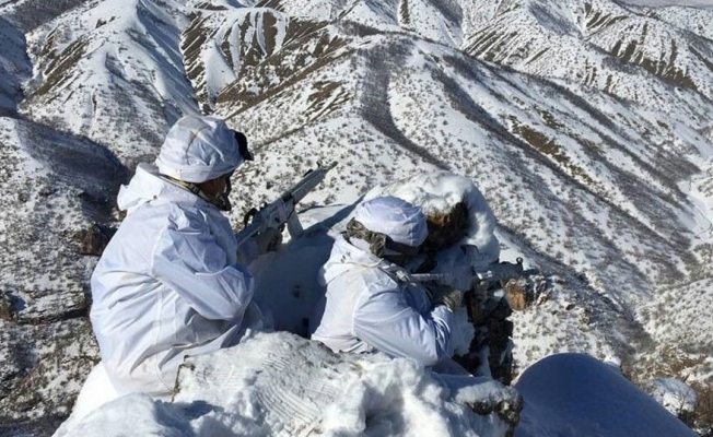 PKK’ya bir darbe de Şırnak’tan