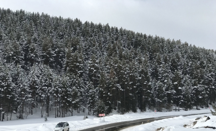 Sarıkamış’ta kartpostallık kar görüntüleri