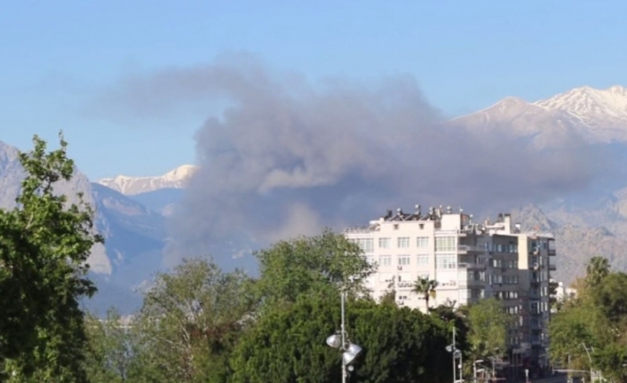 Antalya serbest bölgede yangın