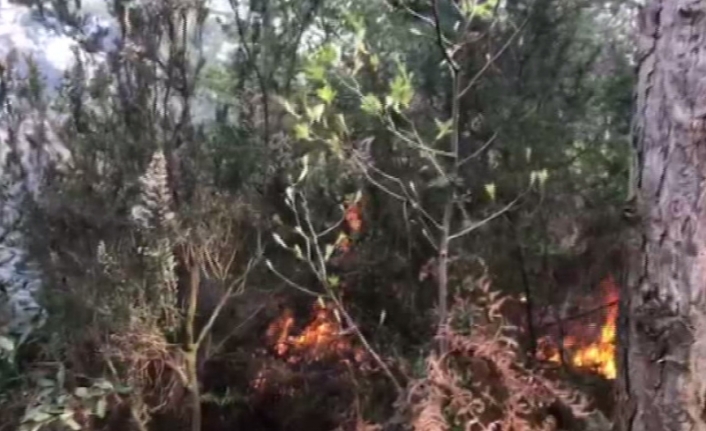 Aydos Ormanı’nda yangın çıktı