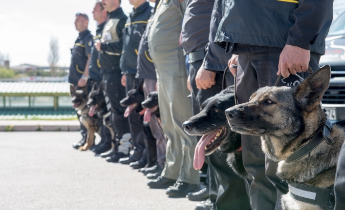 Başkent K-9 köpeklerine emanet