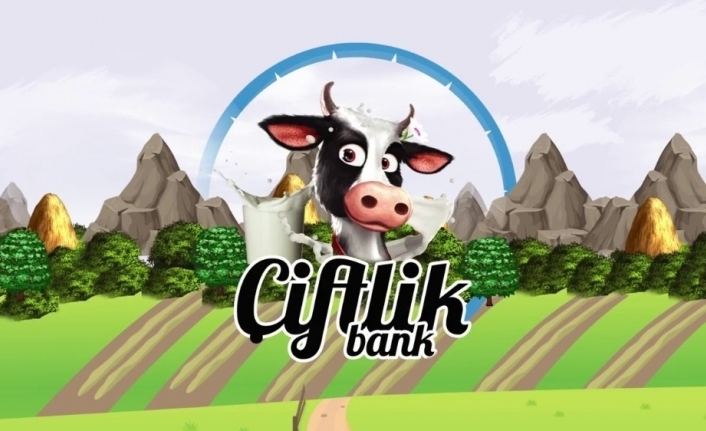 Çiftlik Bank yazılımcısı tutuklandı