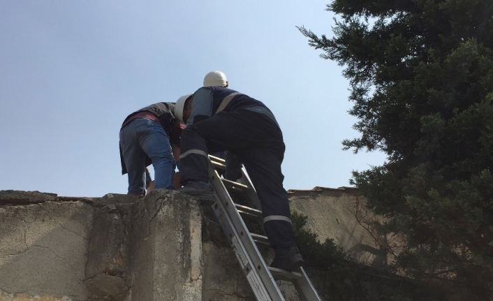 Elektrik trafosuna giren hırsız yanarak can verdi