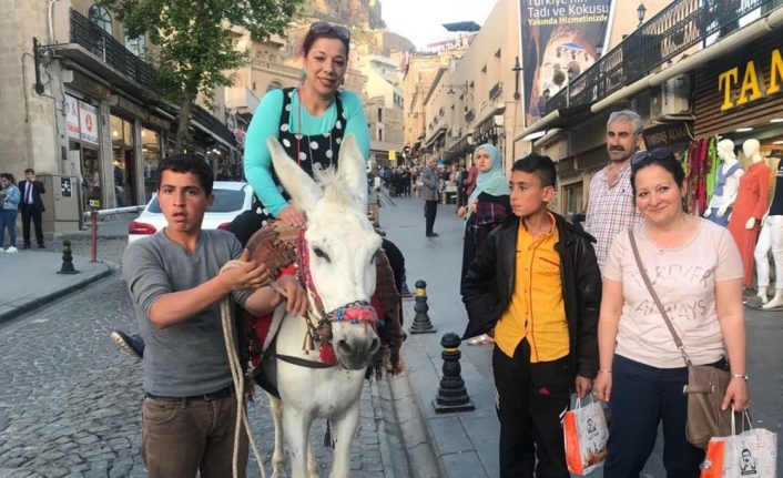 Kadrolu eşekler turizmin hizmetinde