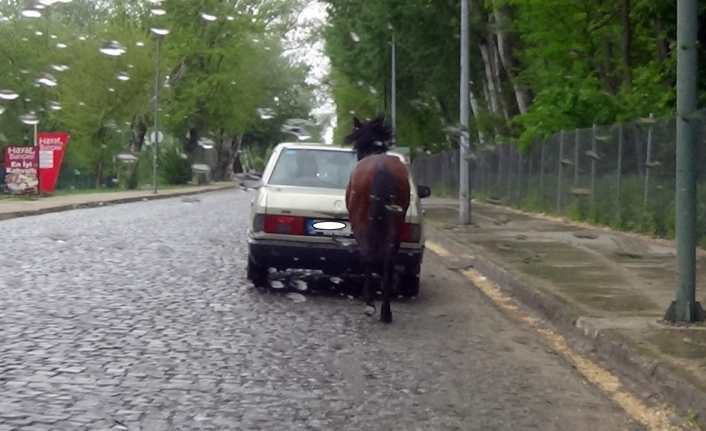 Trafikte ata işkence