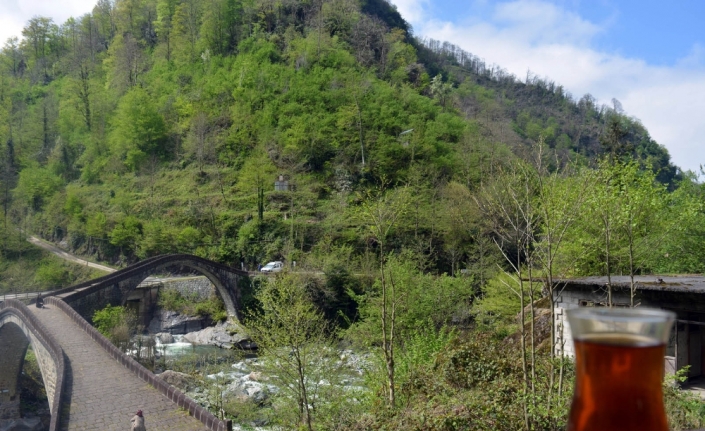 Türkiye’nin havası en temiz ili Artvin oldu