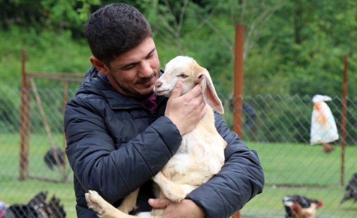 20 günlük keçiye evladı gibi bakıyor