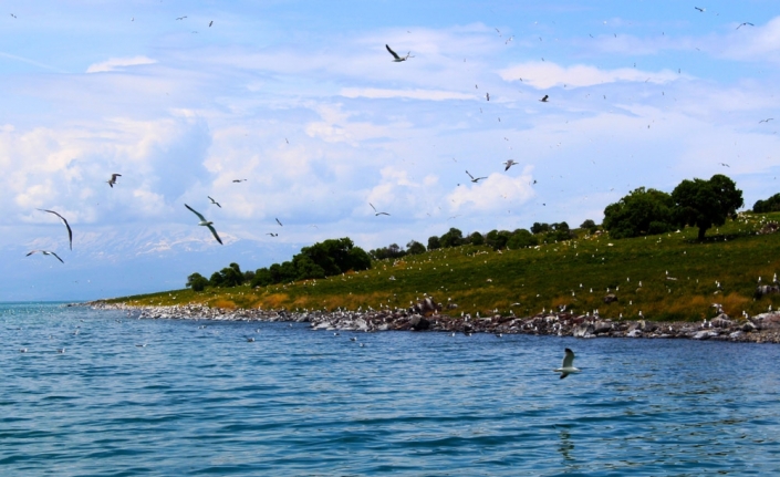 Adır Adası eşsiz dokusuyla büyülüyor