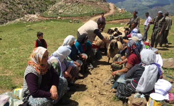 Dağlara terör yerine huzur geldi