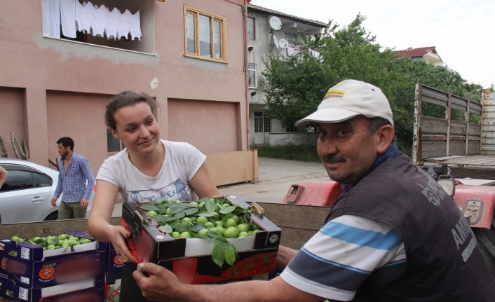 Erik tarlada 3, tezgahta 10 lira