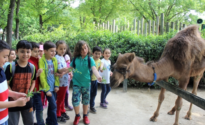 Hayvanat bahçesinin bebek üyeleri ilgi odağı oldu