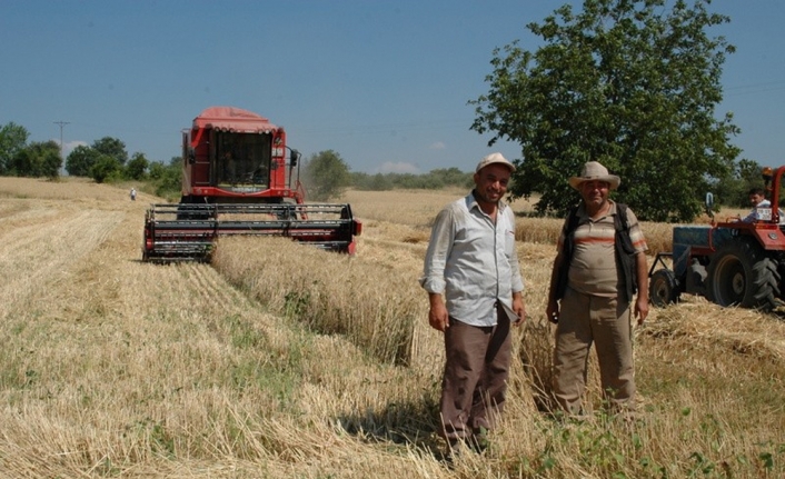 Hububat alım fiyatları açıklandı