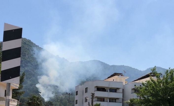 Marmaris’te orman yangını