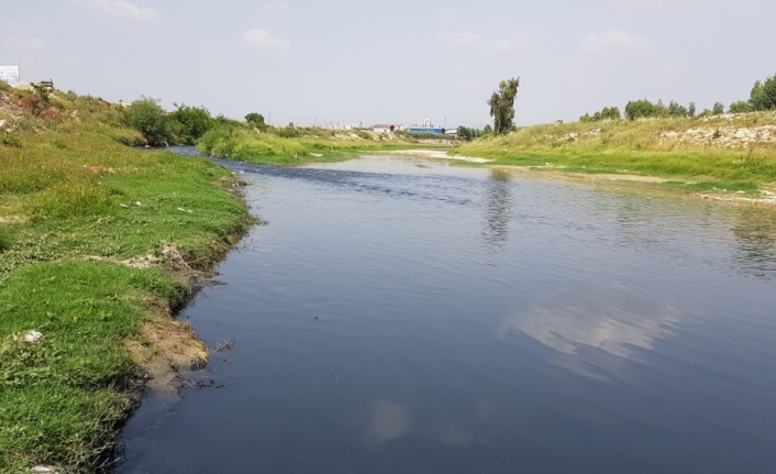 Siyah akan Savrun Çayı endişelendiriyor