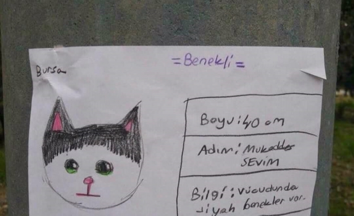 Sosyal medya’da fenomen olan kayıp kedi ’Benekli’ bulundu.