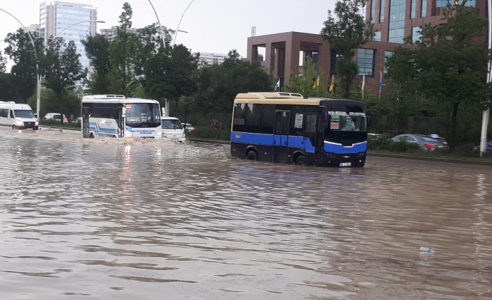 Valilik selin bilançosunu açıkladı: 1 ölü