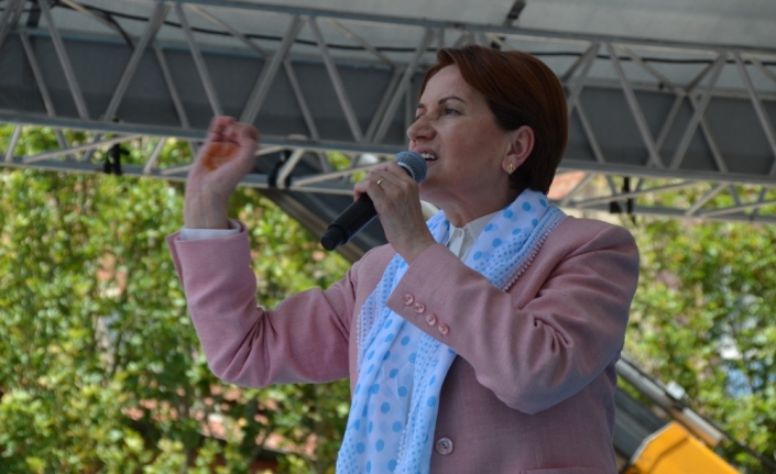 Akşener’den ’kayısı’ sözü
