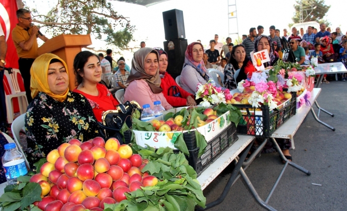 Amanoslar’da "Kayısı Festivali"