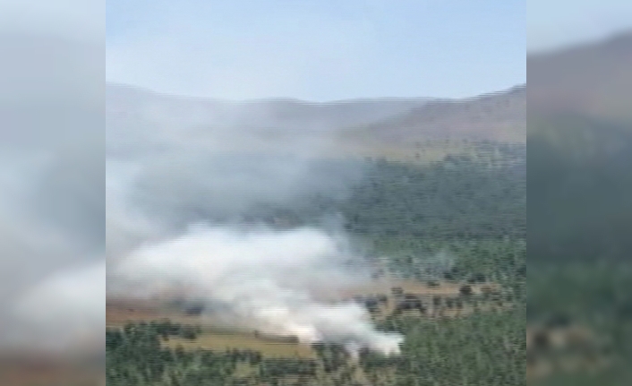 Bitlis’te 10 teröristin etkisiz hale getirildiği operasyon anını vatandaşlar kaydetti