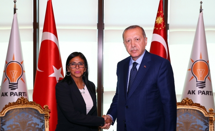 Erdoğan, Venezuela Cumhurbaşkanı Yardımcısı ile görüştü