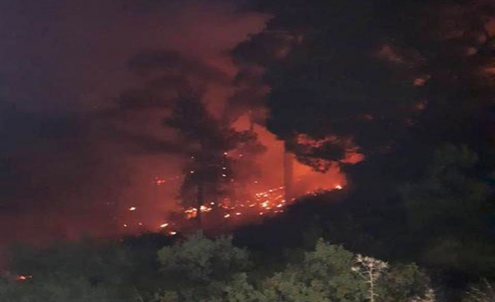 Güney Kıbrıs’ta çıkan yangın KKTC’yi alarma geçirdi