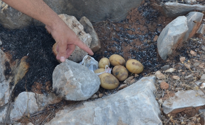 Patates pişirmek isterken yangın çıkardılar