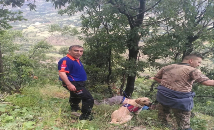 Polonyalı turistin feci ölümü