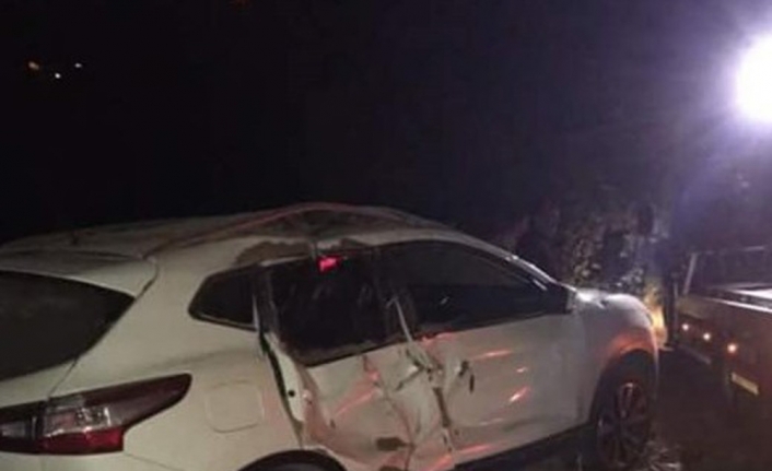 Ağaç otomobilin üstüne devrildi