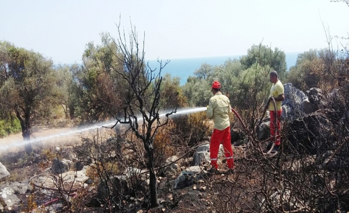 Antalya’da antik kent yakınında çıkan yangın korkuttu