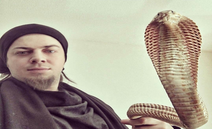 Aref’i yılanı ısırdı: Hayati riski var