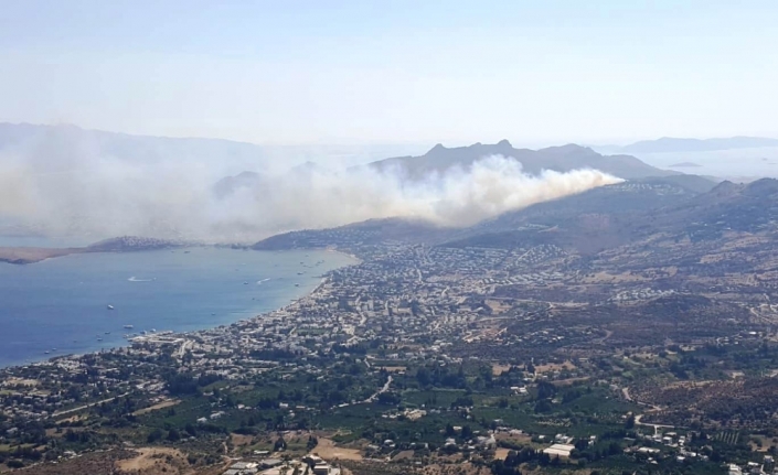 Bodrum’daki yangın kontrol altına alındı