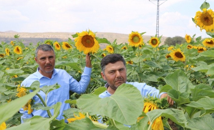 Çin Türkiye’yi çekirdek ile vurdu