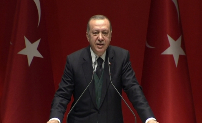 Cumhurbaşkanı Erdoğan Danıştay’a 4 üye seçti