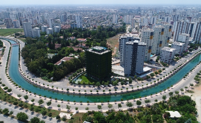 Dört bir yanı sarmaşıklarla kaplı