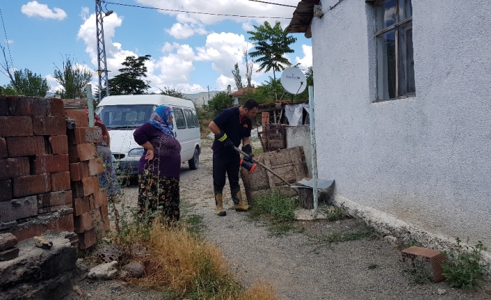 Evleri yılanlar bastı