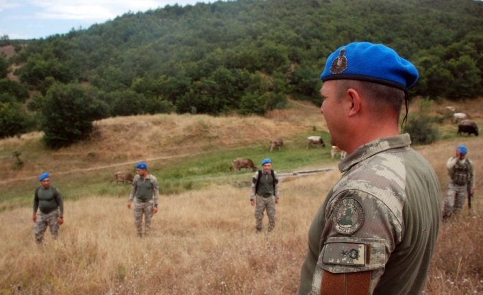 Kayıp Evrim için ’Kurtlar’dan sonra ’Boralar’ da bölgede