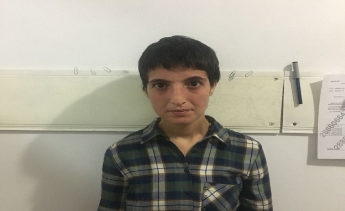PKK’lı terörist teslim oldu