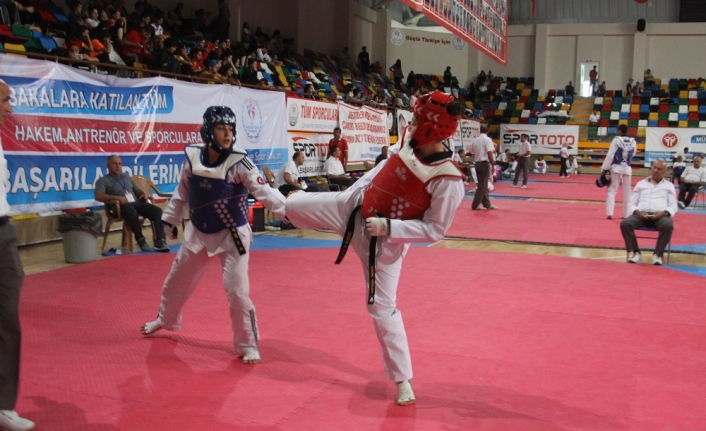 Türkiye Taekwondo Şampiyonası sona erdi